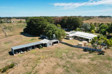 Mixed Farming For Sale - VIC - Ellerslie - 3265 - Longstanding and safely held property – 37km Warrnambool.  (Image 2)