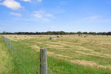 Livestock For Sale - WA - North Dandalup - 6207 - Early Selected - Highway Frontage - 1 Hr from Perth City (Image 2)