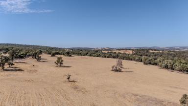 Other (Rural) For Sale - WA - Toodyay - 6566 - VIEWS, PRIVACY & SCALE – 107 ha | 264 ac  (Image 2)