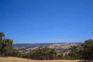 Other (Rural) For Sale - WA - Toodyay - 6566 - VIEWS, PRIVACY & SCALE – 107 ha | 264 ac  (Image 2)