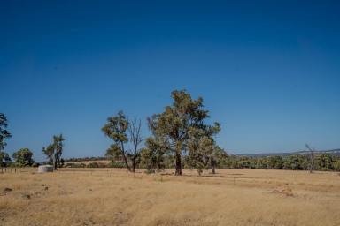 Other (Rural) For Sale - WA - Toodyay - 6566 - VIEWS, PRIVACY & SCALE – 106 ha | 261 ac  (Image 2)