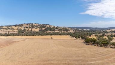 Other (Rural) For Sale - WA - Toodyay - 6566 - WATER, VIEWS & GRAZING  (Image 2)