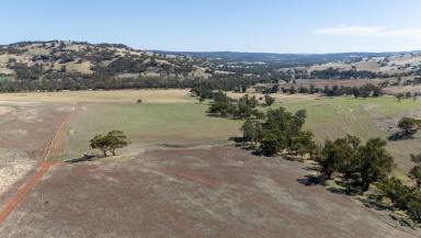 Other (Rural) For Sale - WA - Toodyay - 6566 - WATER, VIEWS & GRAZING  (Image 2)