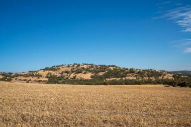 Other (Rural) For Sale - WA - Toodyay - 6566 - WATER, VIEWS & GRAZING  (Image 2)