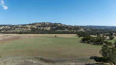 Other (Rural) For Sale - WA - Toodyay - 6566 - WATER, VIEWS & GRAZING  (Image 2)