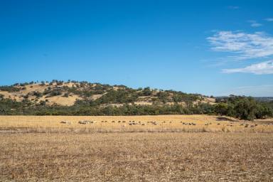Other (Rural) For Sale - WA - Toodyay - 6566 - WATER, VIEWS & GRAZING  (Image 2)