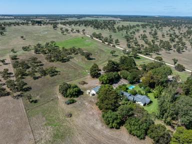 Cropping For Sale - SA - Naracoorte - 5271 - 34 acres, High Undulating Terrain - 6 Bedrooms - Character Stone Home!  (Image 2)