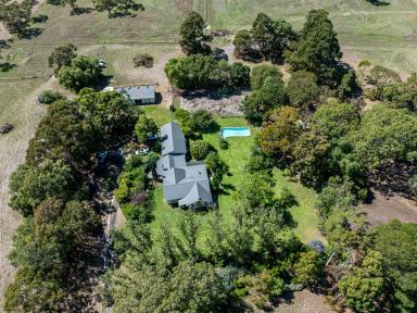 Cropping For Sale - SA - Naracoorte - 5271 - 34 acres, High Undulating Terrain - 6 Bedrooms - Character Stone Home!  (Image 2)