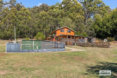 House For Sale - TAS - Ulverstone - 7315 - RURAL LIVING MINUTES FROM TOWN  (Image 2)