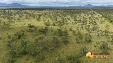 Other (Rural) For Sale - QLD - Gumlu - 4805 - Woodbine  (Image 2)