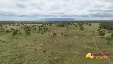 Other (Rural) For Sale - QLD - Gumlu - 4805 - Woodbine  (Image 2)