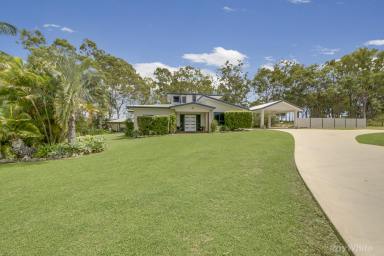 House For Sale - QLD - Benaraby - 4680 - Elevated Lifestyle Living - "Home on the Hill" (Image 2)