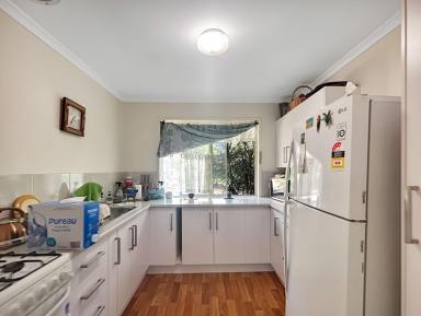 House For Sale - QLD - Macleay Island - 4184 - Surrounded by Nature  (Image 2)