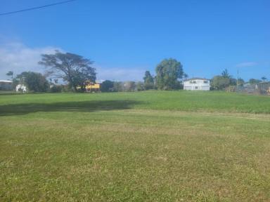 Residential Block For Sale - QLD - Ingham - 4850 - STRATEGIC LOCATION WITH DUAL FRONTAGE!  (Image 2)