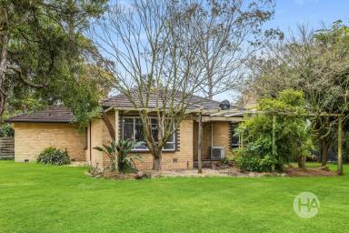 Acreage/Semi-rural For Sale - VIC - Langwarrin South - 3911 - An Acreage Canvas of Pure Possibility  (Image 2)