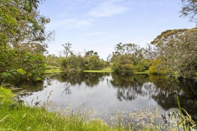 Acreage/Semi-rural For Sale - VIC - Langwarrin South - 3911 - An Acreage Canvas of Pure Possibility  (Image 2)