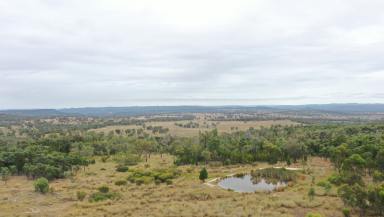 Mixed Farming For Sale - NSW - Bundarra - 2359 - LOW COST GRAZING PROPERTY WITH PLENTY OF UPSIDE  (Image 2)