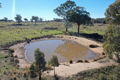 Mixed Farming For Sale - NSW - Bundarra - 2359 - LOW COST GRAZING PROPERTY WITH PLENTY OF UPSIDE  (Image 2)