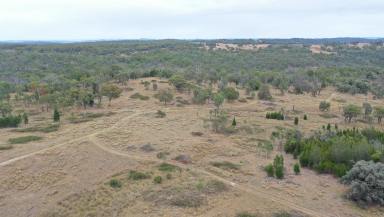 Mixed Farming For Sale - NSW - Bundarra - 2359 - LOW COST GRAZING PROPERTY WITH PLENTY OF UPSIDE  (Image 2)