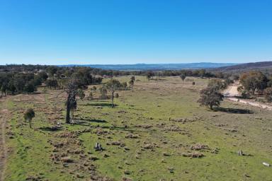 Mixed Farming For Sale - NSW - Bundarra - 2359 - LOW COST GRAZING PROPERTY WITH PLENTY OF UPSIDE  (Image 2)