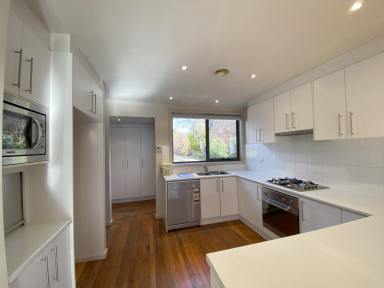 House For Lease - NSW - Cooma - 2630 - 200a Sharp Street, Cooma  (Image 2)