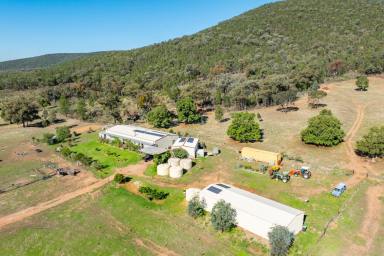 Lifestyle For Sale - NSW - Gooloogong - 2805 - 405 Acres of Prime Rural Country – Lifestyle & Grazing Opportunity (Image 2)