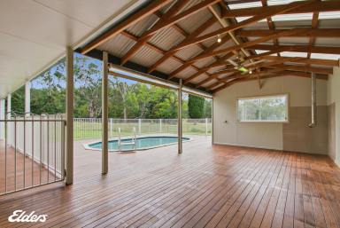 House For Sale - VIC - Won Wron - 3971 - Country living at it's finest! (Image 2)