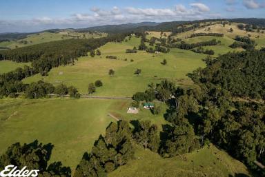House For Sale - VIC - Won Wron - 3971 - Country living at it's finest!  (Image 2)