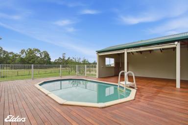 House For Sale - VIC - Won Wron - 3971 - Country living at it's finest! (Image 2)