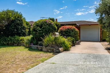 House For Sale - WA - Yangebup - 6164 - Reserves Out Front. Shed Out Back. Everything In Between.  (Image 2)