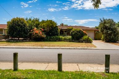 House For Sale - WA - Yangebup - 6164 - Reserves Out Front. Shed Out Back. Everything In Between.  (Image 2)