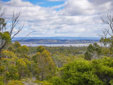 House For Sale - TAS - Coles Bay - 7215 - Life Is Too Short (Image 2)