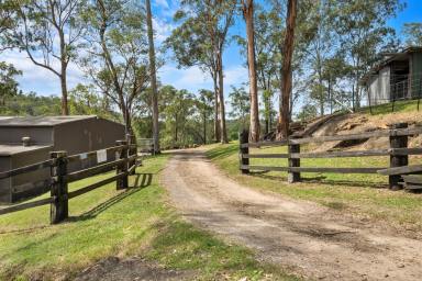 House For Sale - NSW - East Kurrajong - 2758 - Your Private Rural Sanctuary: 40 Acres of Prime Equine, Livestock Country & Dual-Living Accommodations  (Image 2)