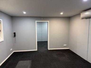 Industrial/Warehouse For Sale - NSW - Moss Vale - 2577 - Investment Opportunity – Modern Light Industrial Unit in Prime Moss Vale Location  (Image 2)