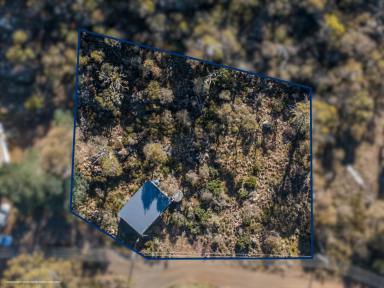 House Sold - TAS - Miena - 7030 - Highlands Retreat!  (Image 2)