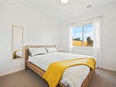 House For Sale - VIC - Bairnsdale - 3875 - MODERN 4 BEDROOM FAMILY HOME - SET AND FORGET INVESTMENT  (Image 2)