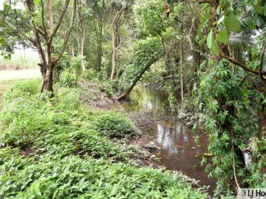 Residential Block For Sale - QLD - Euramo - 4854 - Rare 1.2 Acre Opportunity with Large Shed & Creek – 15 Minutes to Town  (Image 2)