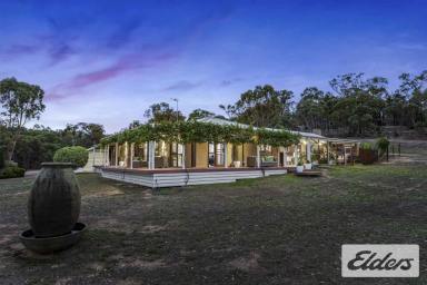 House For Sale - VIC - Avoca - 3467 - Pyrenees Lifestyle Retreat with Iconic Alfresco Living on 18.31 Acres  (Image 2)