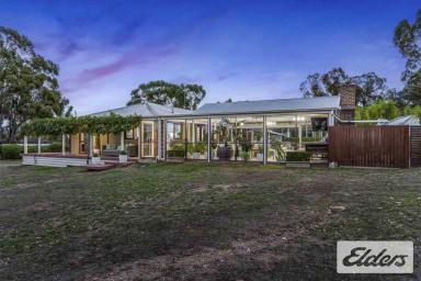 Lifestyle For Sale - VIC - Avoca - 3467 - Expansive Country Living with Uninterrupted Views  (Image 2)