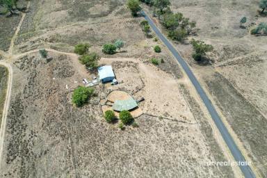 Mixed Farming For Sale - NSW - Bingara - 2404 - 1200 ACRES WITH RIVER FRONTAGE (Image 2)