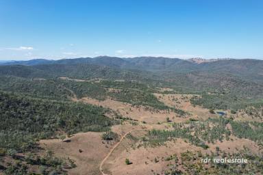 Mixed Farming For Sale - NSW - Bingara - 2404 - 1200 ACRES WITH RIVER FRONTAGE (Image 2)