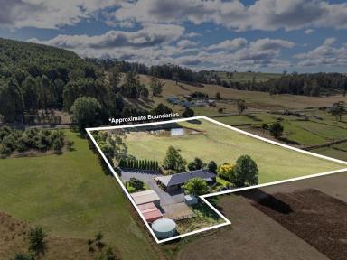 House For Sale - TAS - Sheffield - 7306 - Spacious Family Home on 5 Acres  (Image 2)