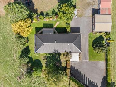 House For Sale - TAS - Sheffield - 7306 - Spacious Family Home on 5 Acres (Image 2)