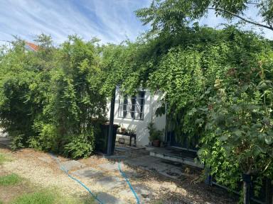 House For Lease - VIC - Echuca - 3564 - Tranquil Living  (Image 2)