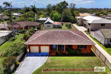 House For Lease - NSW - Cundletown - 2430 - Spacious Family Home on Large Block in Cundletown  (Image 2)