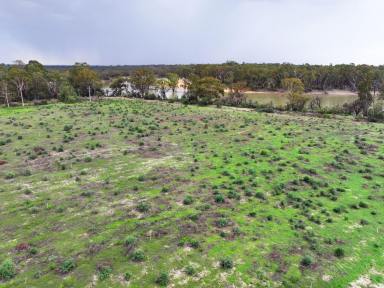 Mixed Farming For Sale - VIC - Iraak - 3494 - RURAL PROPERTY WITH PUMP ON THE RIVER (Image 2)