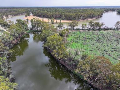 Mixed Farming For Sale - VIC - Iraak - 3494 - RURAL PROPERTY WITH PUMP ON THE RIVER (Image 2)