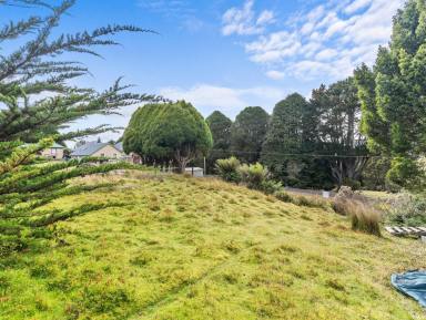 Residential Block For Sale - TAS - Waratah - 7321 - The Waterfall Escape  (Image 2)