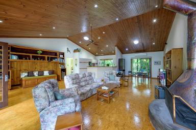 House Auction - QLD - Black Mountain - 4563 - Character Home with Privacy Plus a Cabin  (Image 2)