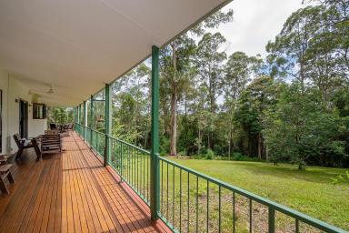 House Auction - QLD - Black Mountain - 4563 - Character Home with Privacy Plus a Cabin  (Image 2)